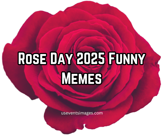 Rose Day 2025 Funny Memes