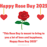 When is Rose Day 2025 4 Rose Day 2025 Romantic Wallpapers