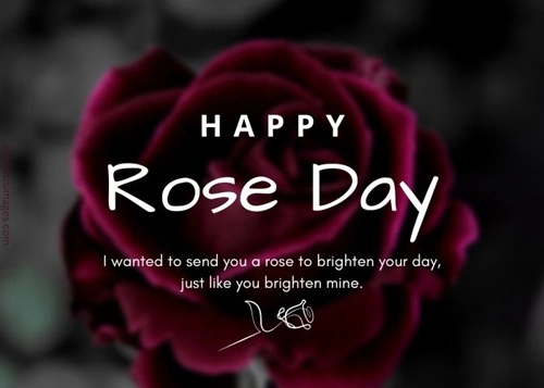 Romantic Rose Day Wishes Messages