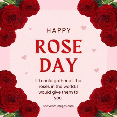 Rose Day Wishes Quotes